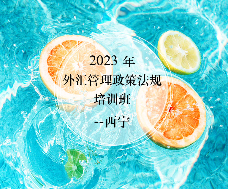 2023年外汇管理政策法规培训班-7月西宁