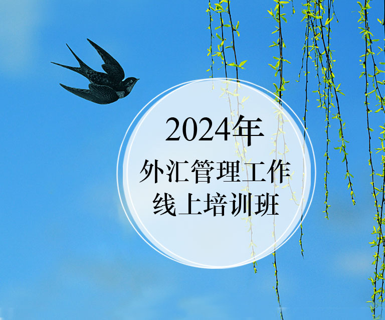 2024年外汇管理工作线上培训班