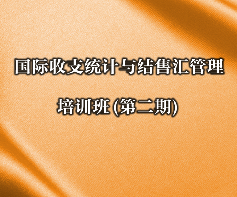 国际收支统计与结售汇管理培训班