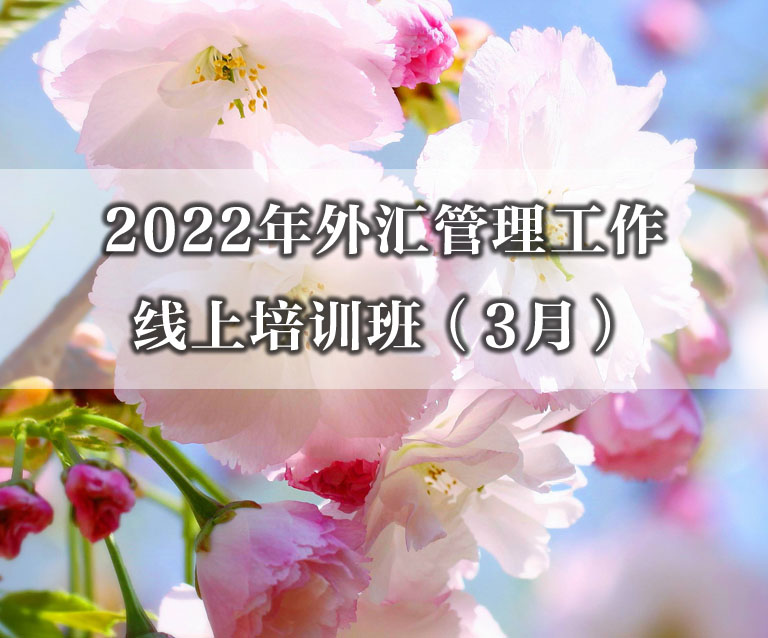 2022年外汇管理工作线上培训班(3月)