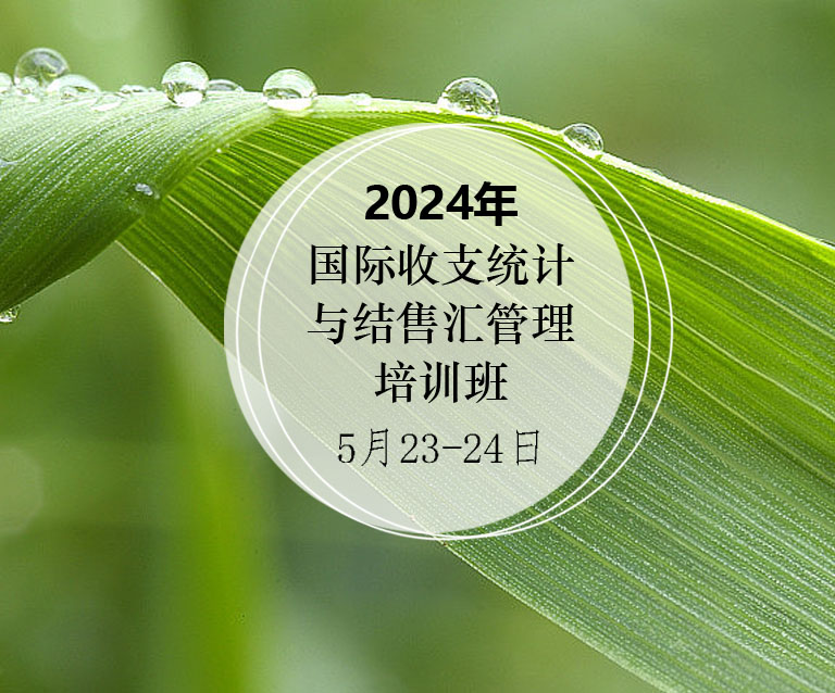 国际收支统计与结售汇管理培训班(5月23-24日)