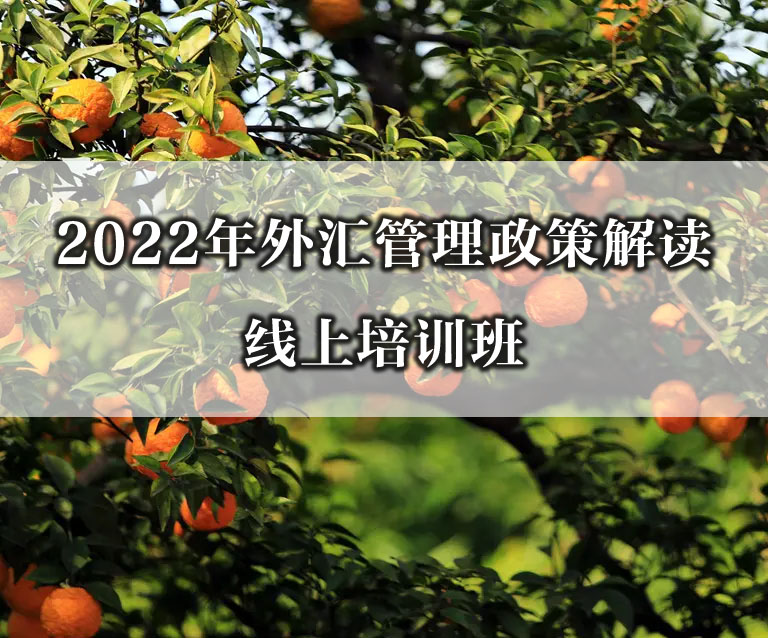 2022年外汇管理政策解读线上培训班