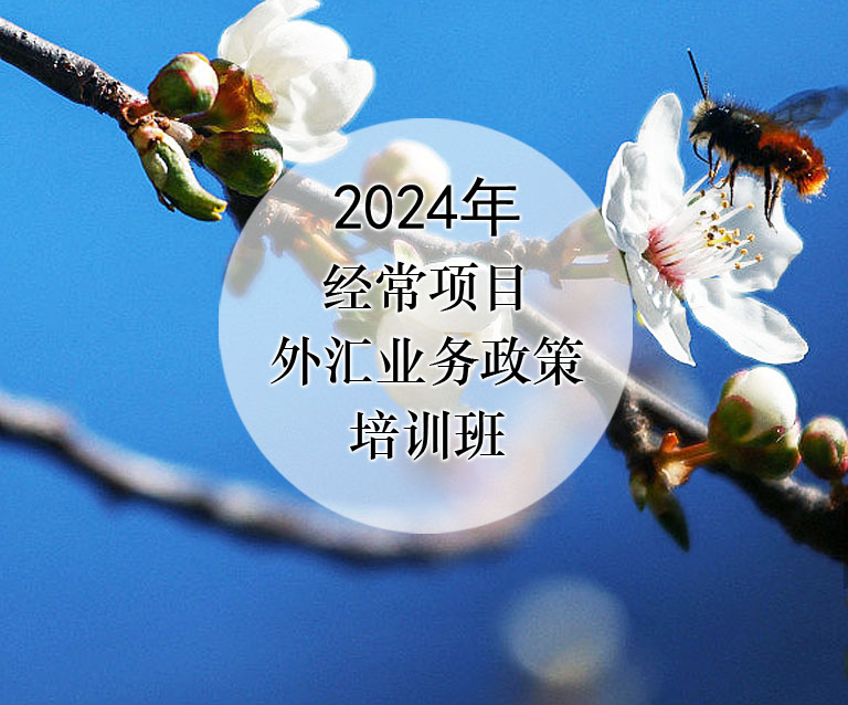 经常项目外汇管理政策法规线上培训班-4月