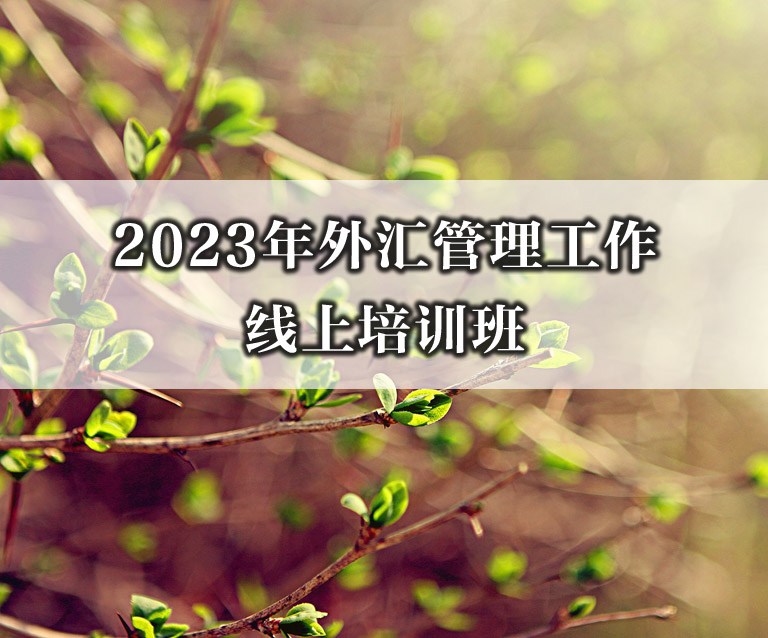 2023年外汇管理工作线上培训班