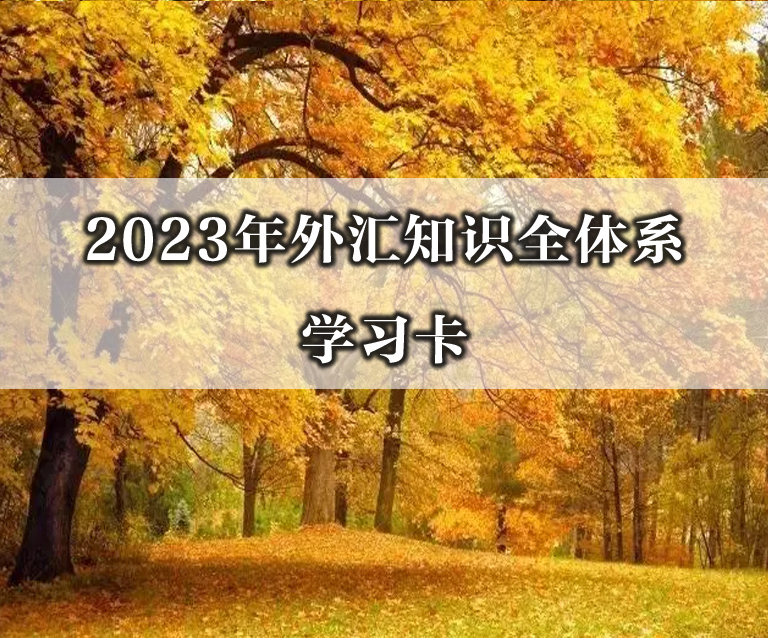 2023年外汇知识全体系学习卡