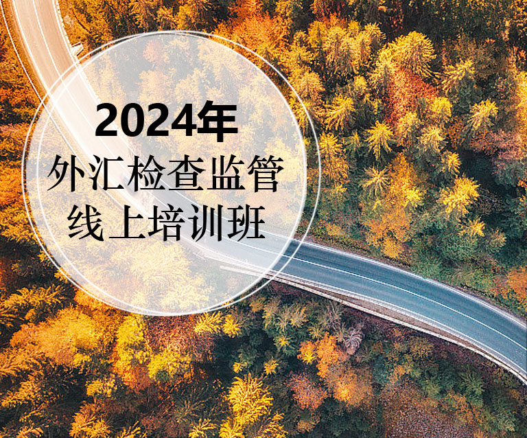 2024年外汇检查监管线上培训班