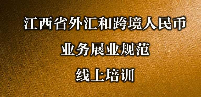 江西省外汇和跨境人民币业务展业规范线上培训